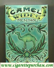 Camel Wides Menthol Art Issue cigarettes hard box